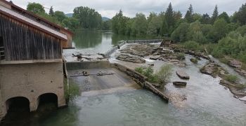 Dossier de renouvellement d'autorisation d'une centrale hydroélectrique sur l'Ain