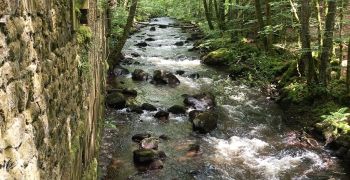 Etude de faisabilité de la rénovation hydroélectrique d'une ancienne forge dans les Vosges